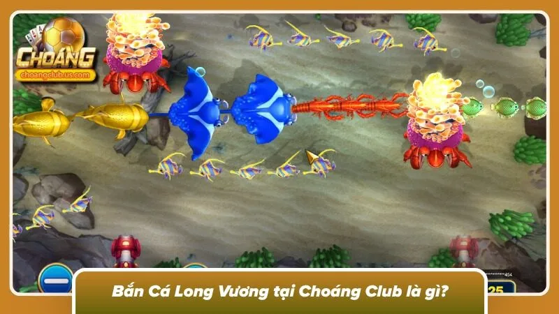 Khám phá siêu phẩm săn cá cực hấp dẫn tại Choáng Club