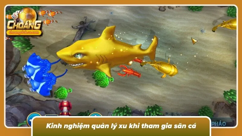 Cách phân bổ xu hợp lý trong từng lượt tham gia