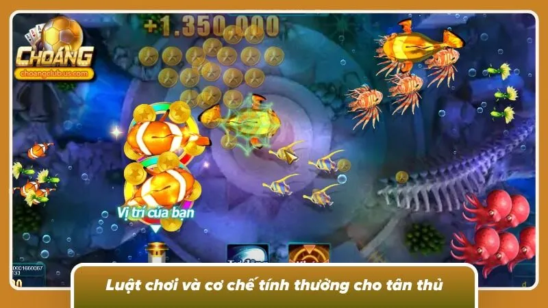 Cơ chế săn và tính thưởng dành cho người mới