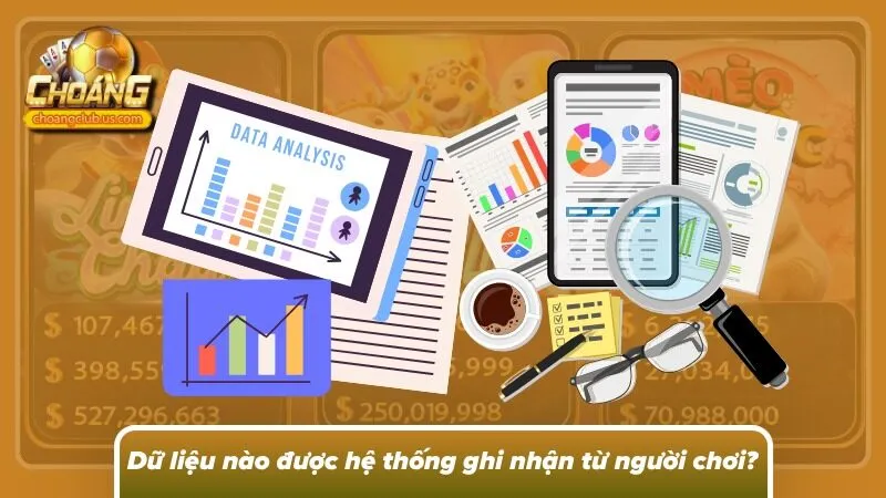 Các loại dữ liệu người chơi cần cung cấp 