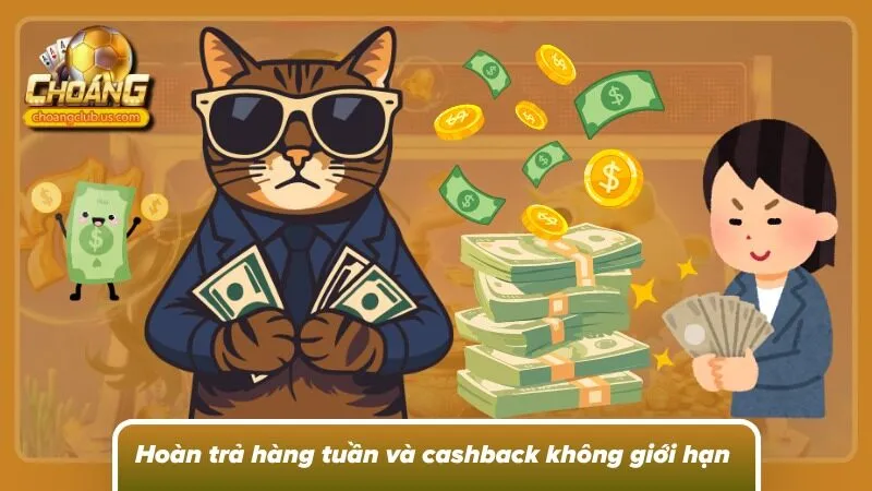 Chính sách hoàn trả hàng tuần giảm rủi ro cho hội viên