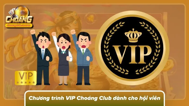 Hệ thống phân cấp VIP mang lại vô vàn đặc quyền độc bản