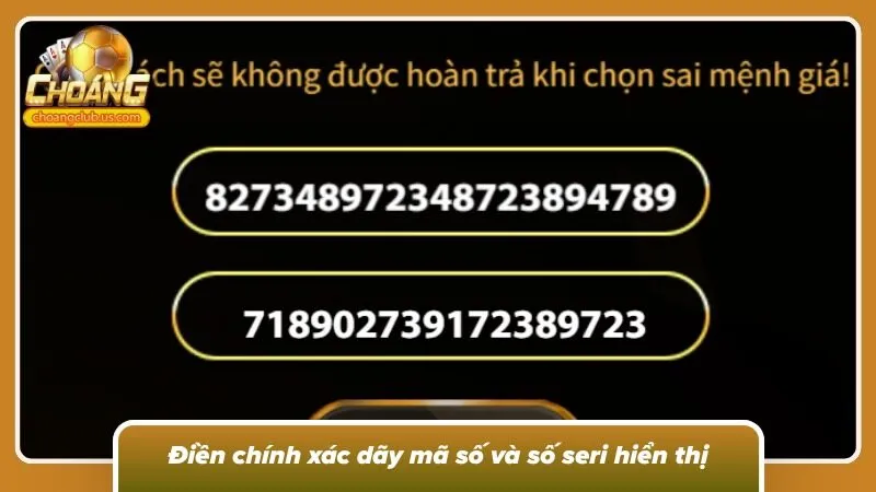 Điền chính xác dãy mã số và số seri hiển thị