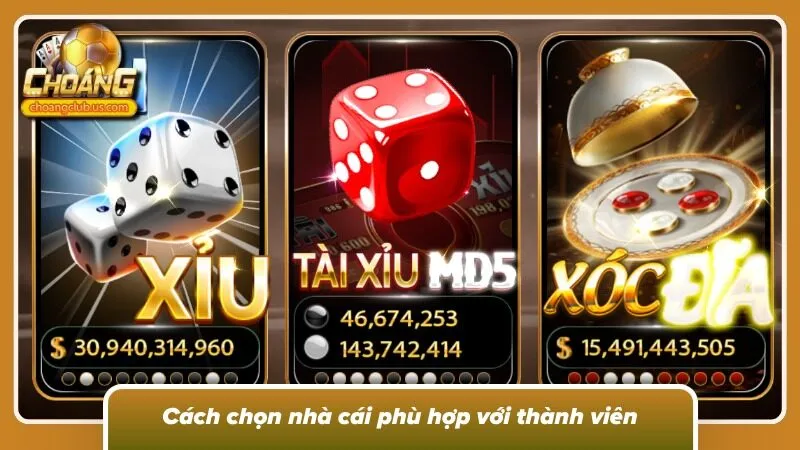 Lựa chọn sân chơi dựa trên nhu cầu tài chính và thói quen cá nhân